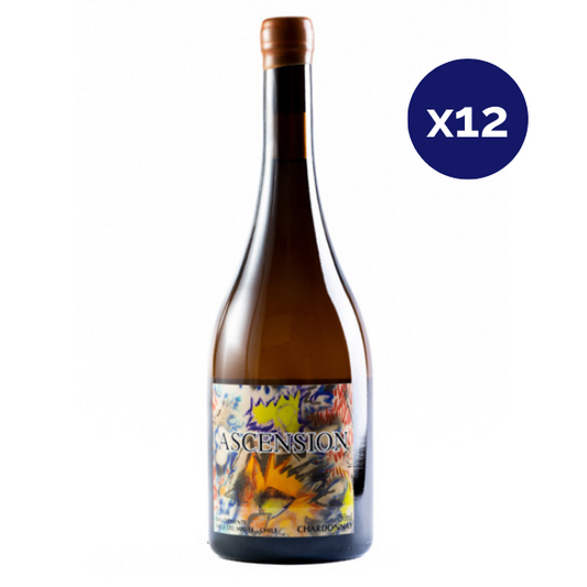 Maturana - Caja 12 - Ascencion - Premium - Chardonnay