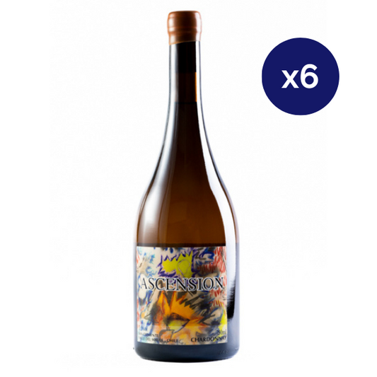 Maturana - Caja 6 - Ascencion - Premium - Chardonnay