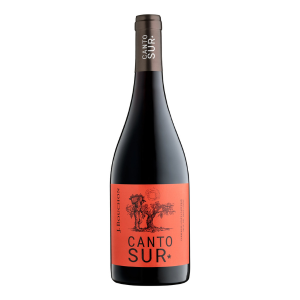 Vinos del Valle de Colchagua: Los Mejores Tintos
