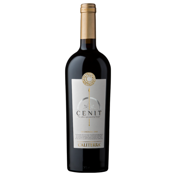 Vinos Tintos de Alta Gama en Chile 2026