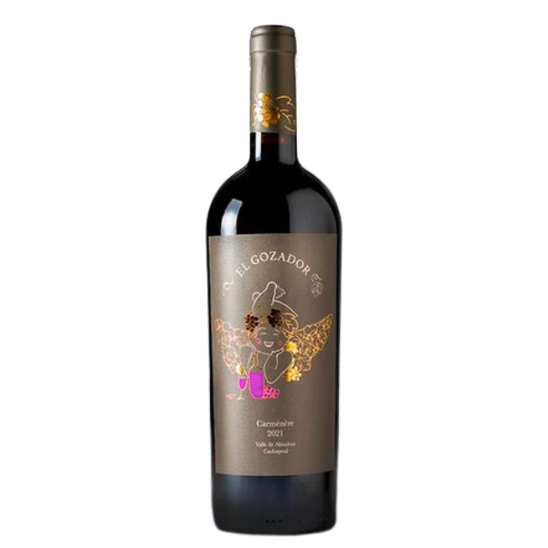 Vinos de Autor Chile: Guía para Descubrir lo Mejor del Invierno