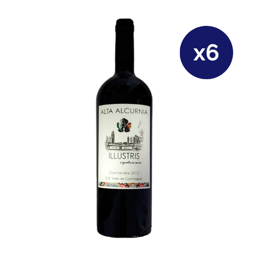 Alta Alcurnia - Caja 6 - Ilustris 2012 - Premium - Carmenere
