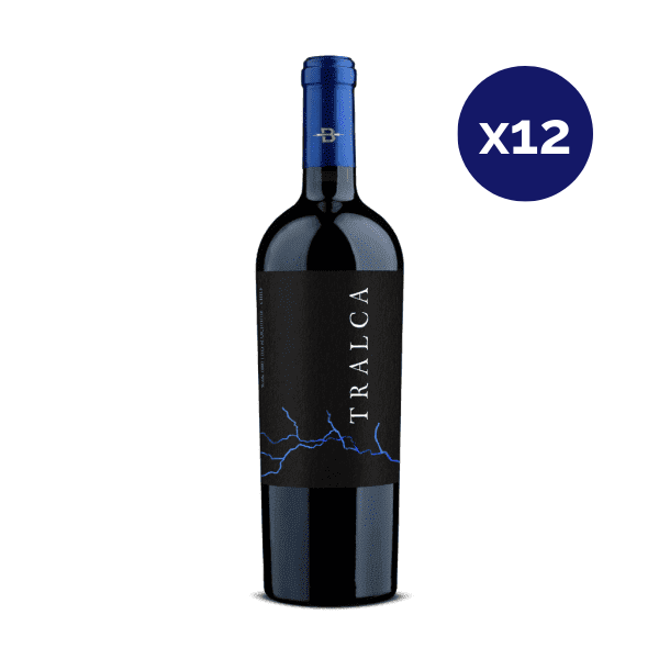 Bisquertt - Caja 12 - Tralca - Icono - Ensamblaje