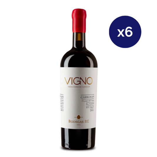 Bodegas RE - Caja 6 - Vigno - Super Premium - Carignan