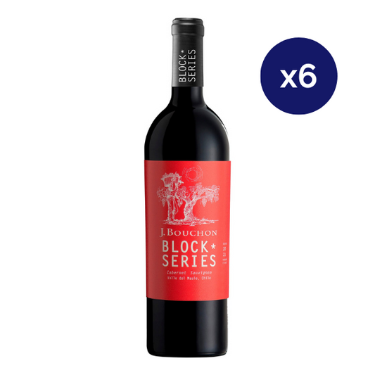 Bouchon - Caja 6 - Block Series - Gran Reserva - Cabernet Sauvignon