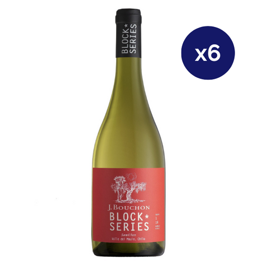 Bouchon - Caja 6 - Block Series - Gran Reserva - Semillon