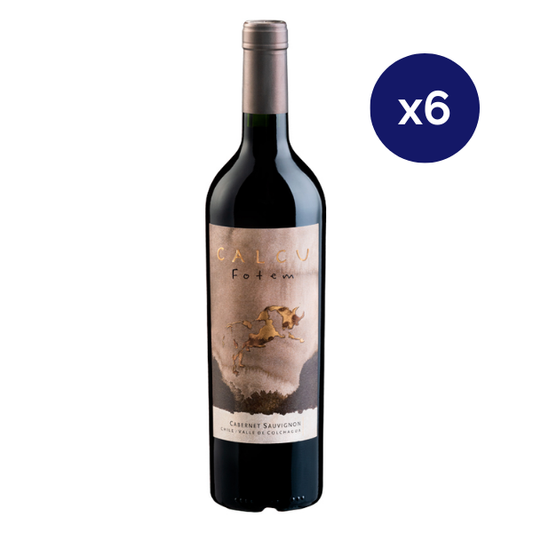 Calcu - Caja 6 - Fotem - Premium - Cabernet Sauvignon