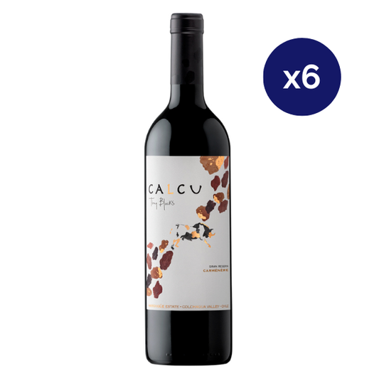 Calcu - Caja 6 - Tiny Blocks - Gran Reserva - Carmenere