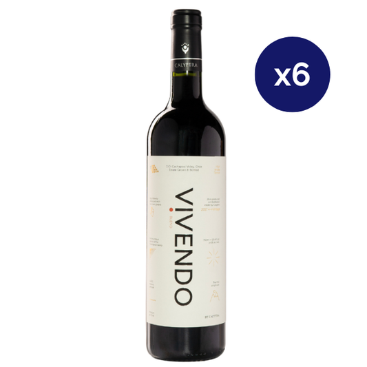 Calyptra - Caja 6 - Vivendo - Gran Reserva - Ensamblaje