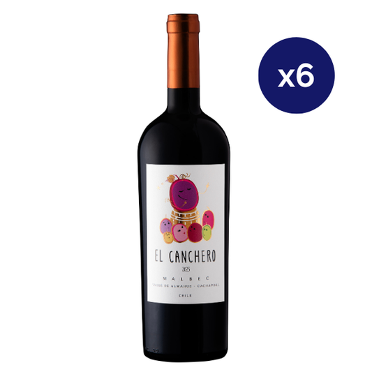Chile Divino - Caja 6 - El Canchero - Vino de Autor - Malbec
