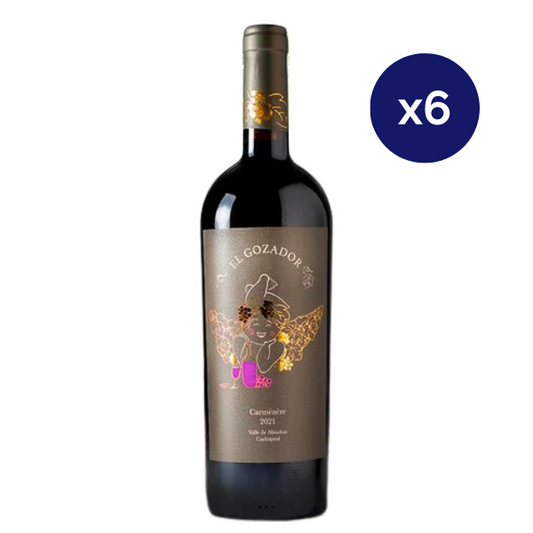 Puente Austral - Reserva Privada - Cabernet Sauvignon – Sacacorchos.cl Puente Austral - Reserva Privada - Cabernet Sauvignon – Sacacorchos.cl