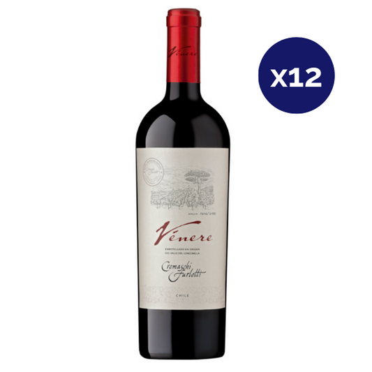 Cremaschi Furlotti - Caja 12 - Venere - Icono - Ensamblaje