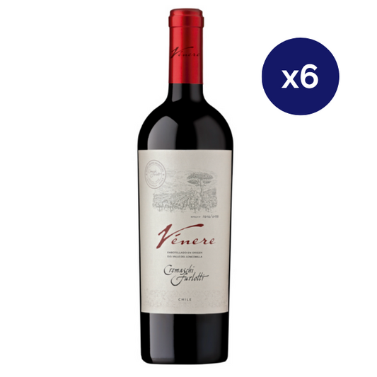 Cremaschi Furlotti - Caja 6 - Venere - Icono - Ensamblaje