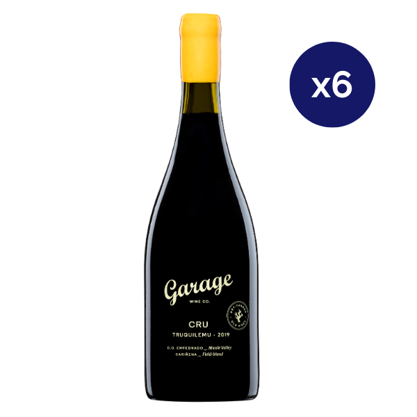 Garage - Caja 6 - Cru Truquilemu - Icono - Cariñerna