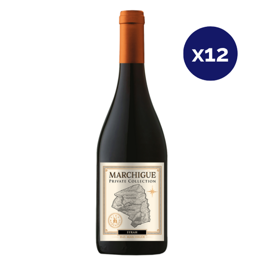 Marchigue - Caja 12 - Mapa - Ultra Premium - Syrah