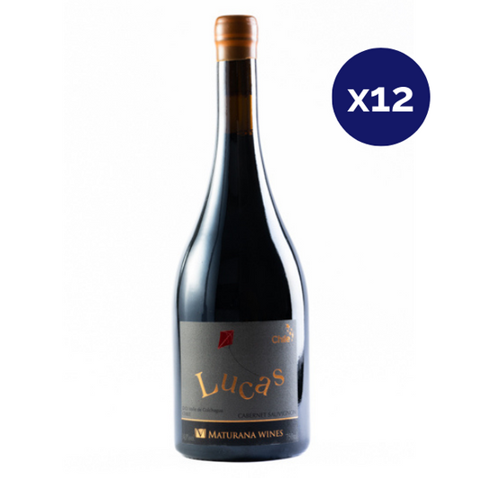 Maturana - Caja 12 - Lucas - Premium - Cabernet Sauvignon
