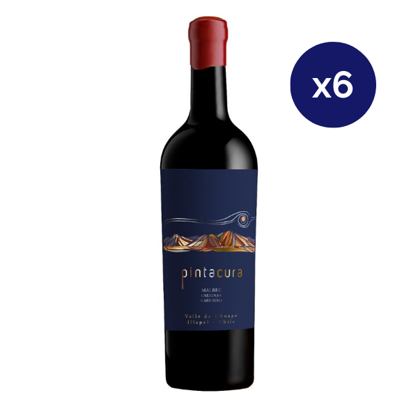 Maturana - Caja 6 - Pintacura - Premium - Malbec / Carignan / Garnacha