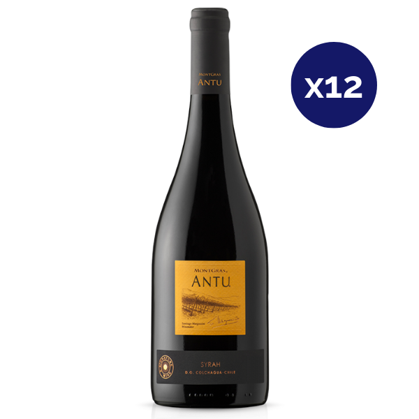 Montgras - Caja 12 - Antu - Premium - Syrah
