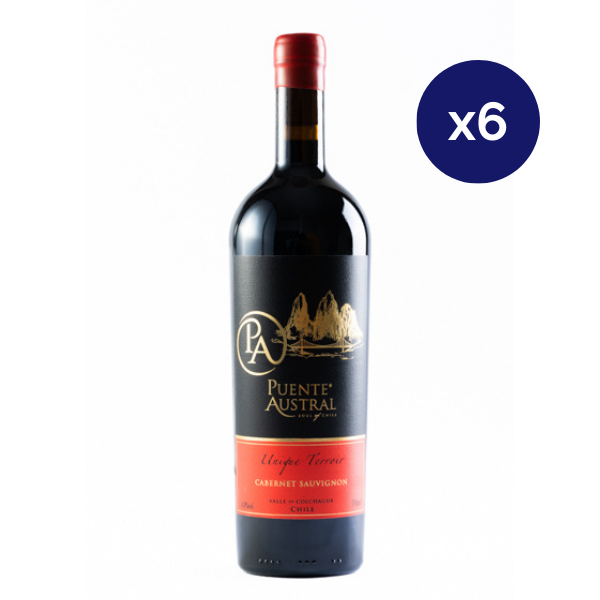 Puente Austral - Caja 6 - Unique Terroir - Premium - Carmenere