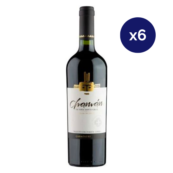 Santa Cruz - Caja 6 - Chaman - Gran Reserva - Carmenere