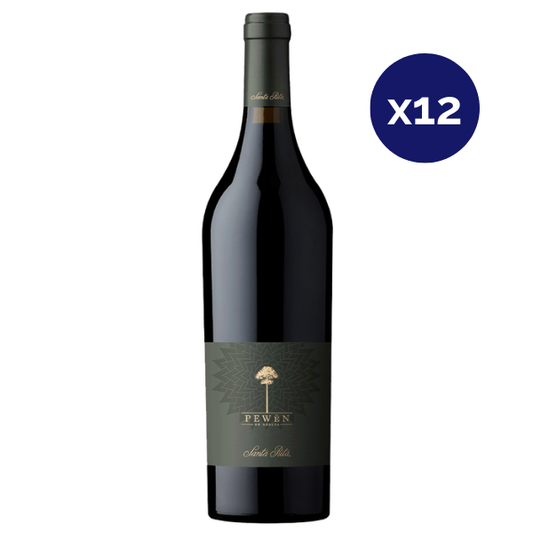 Santa Rita - Caja 12 - Pewen de Apalta - Icono - Carmenere