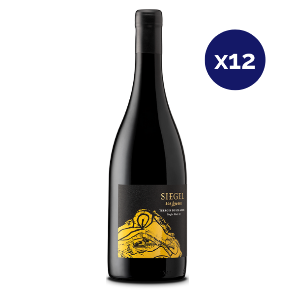 Siegel - Caja 12 - Los Lingues - Gran Reserva - Carignan
