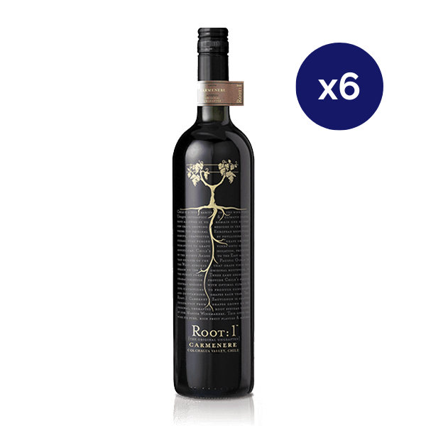 Ventisquero - Caja 6 - Root1 - Reserva - Carmenere
