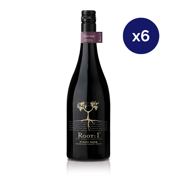 Ventisquero - Caja 6 - Root1 - Reserva - Pinot Noir