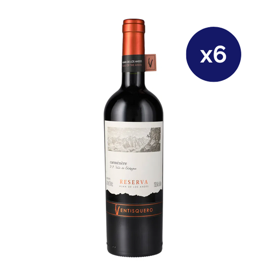 Ventisquero - Caja 6 - Ventisquero - Reserva - Carmenere