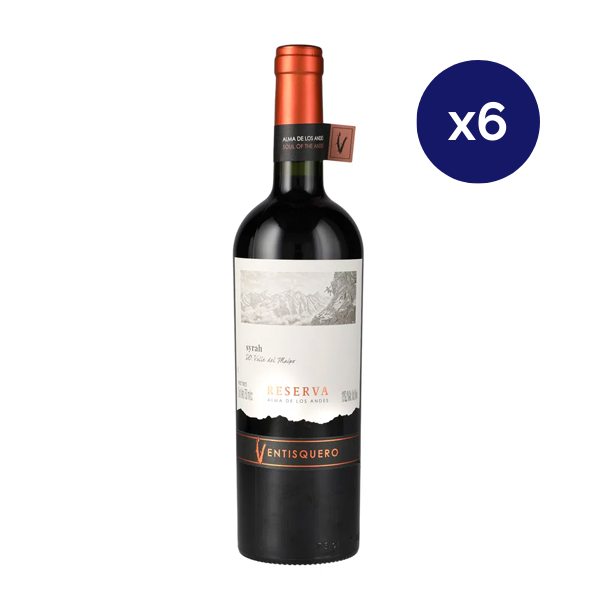 Ventisquero - Caja 6 - Ventisquero - Reserva - Syrah