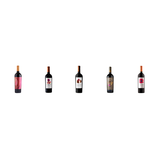 Chile Divino Pack 5 Botellas — Malbec, Cab Sauv, Carménère