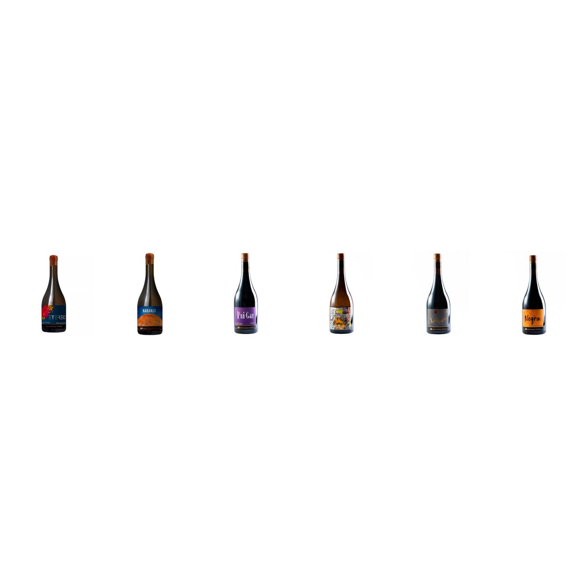 Maturana Wines Pack 6 Botellas — Colección Completa