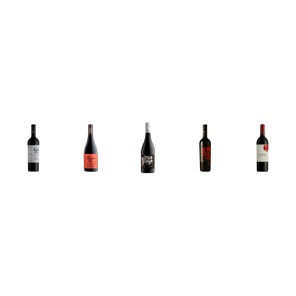 Bouchon Familia Pack 5 Botellas — Reserva, Block, Canto Sur