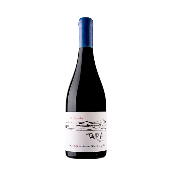 Ventisquero - Tara - Super Premium - Pinot Noir